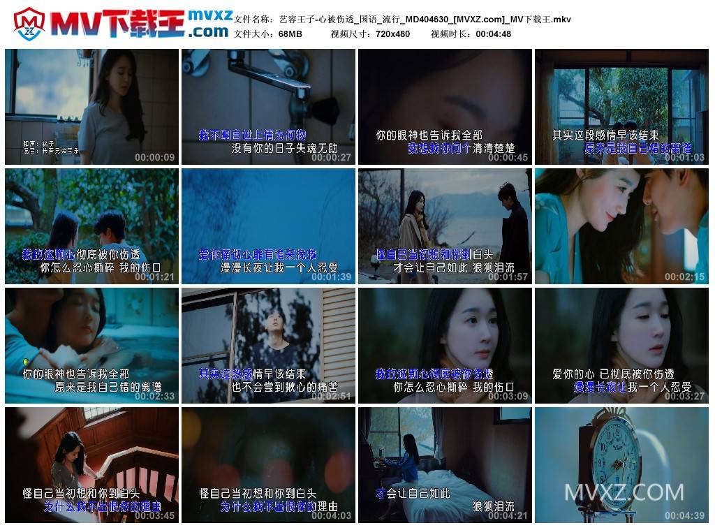 艺容王子-心被伤透_国语_流行_MD404630
